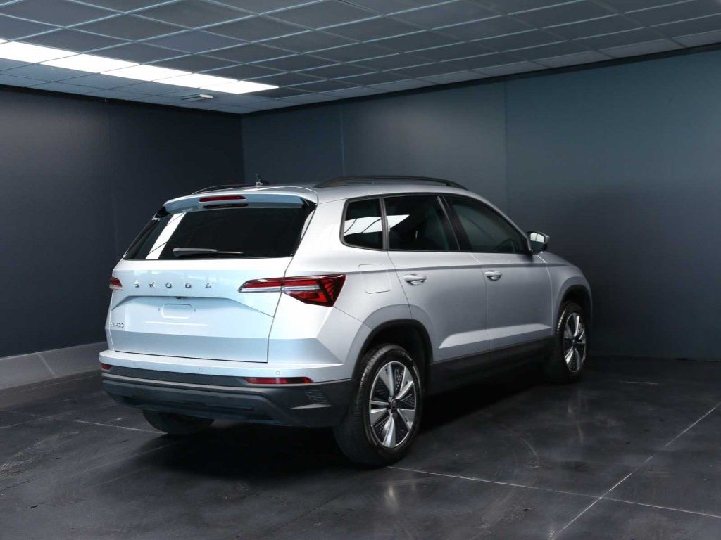 SKODA Karoq 2.0 TDI EVO SCR 115 CV DSG Executive - 7