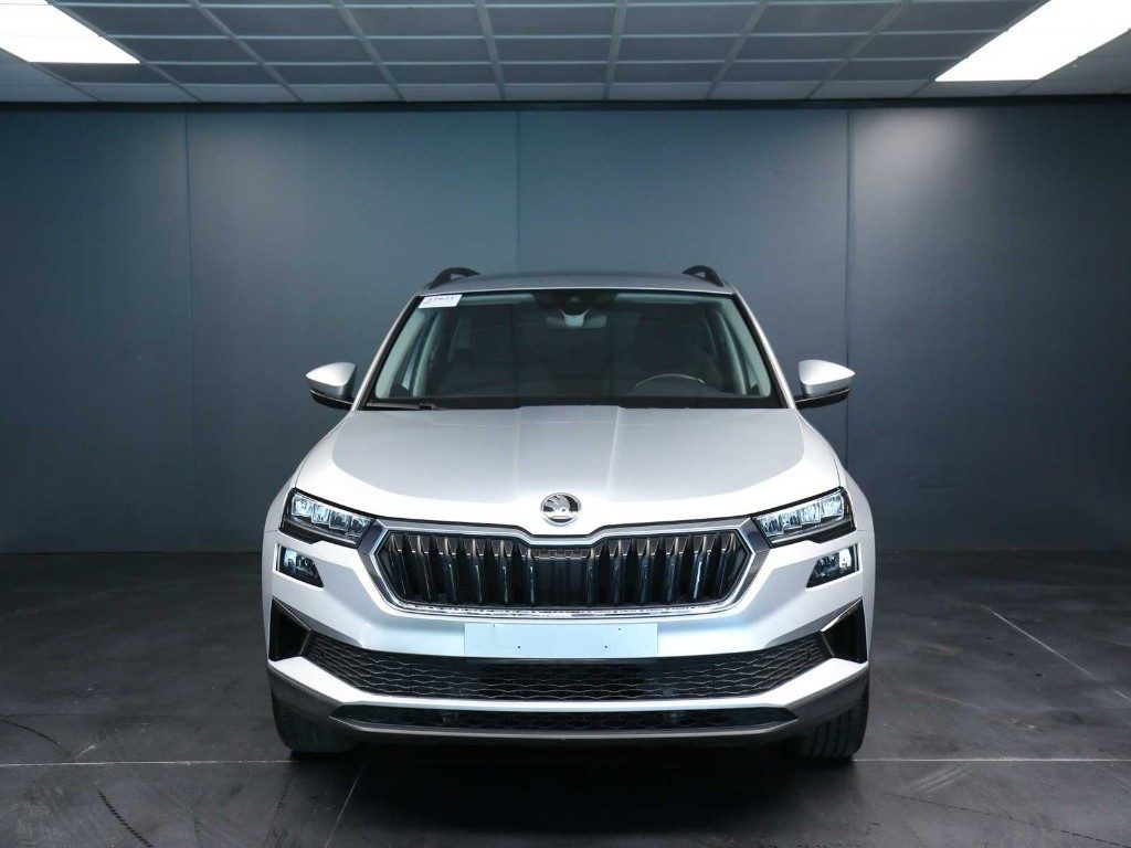 SKODA Karoq 2.0 TDI EVO SCR 115 CV DSG Executive - 8