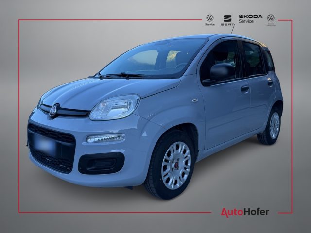 FIAT Panda Grau pastell