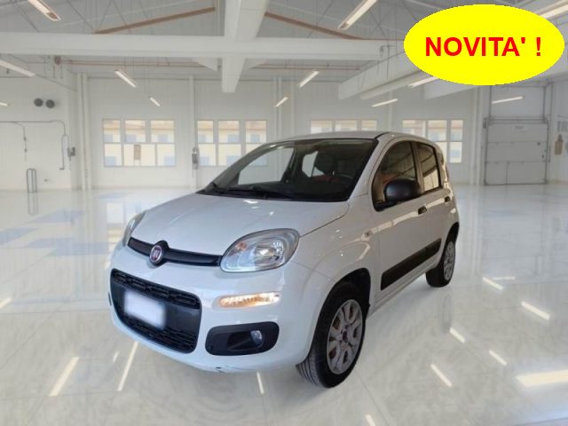 FIAT Panda Bianco pastello