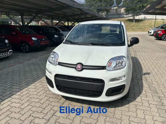 FIAT Panda Bianco extraserie pastello