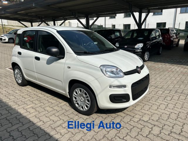 FIAT Panda Bianco extraserie pastello