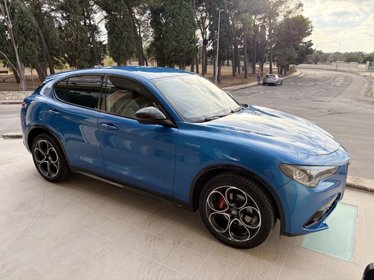 ALFA ROMEO Stelvio 2.2 Turbodiesel 210 CV AT8 Q4 Veloce - 3