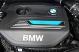 BMW X1 Xdrive25e Business Advantage usata — foto 31 (31/32)
