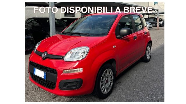 FIAT Panda Rosso pastello