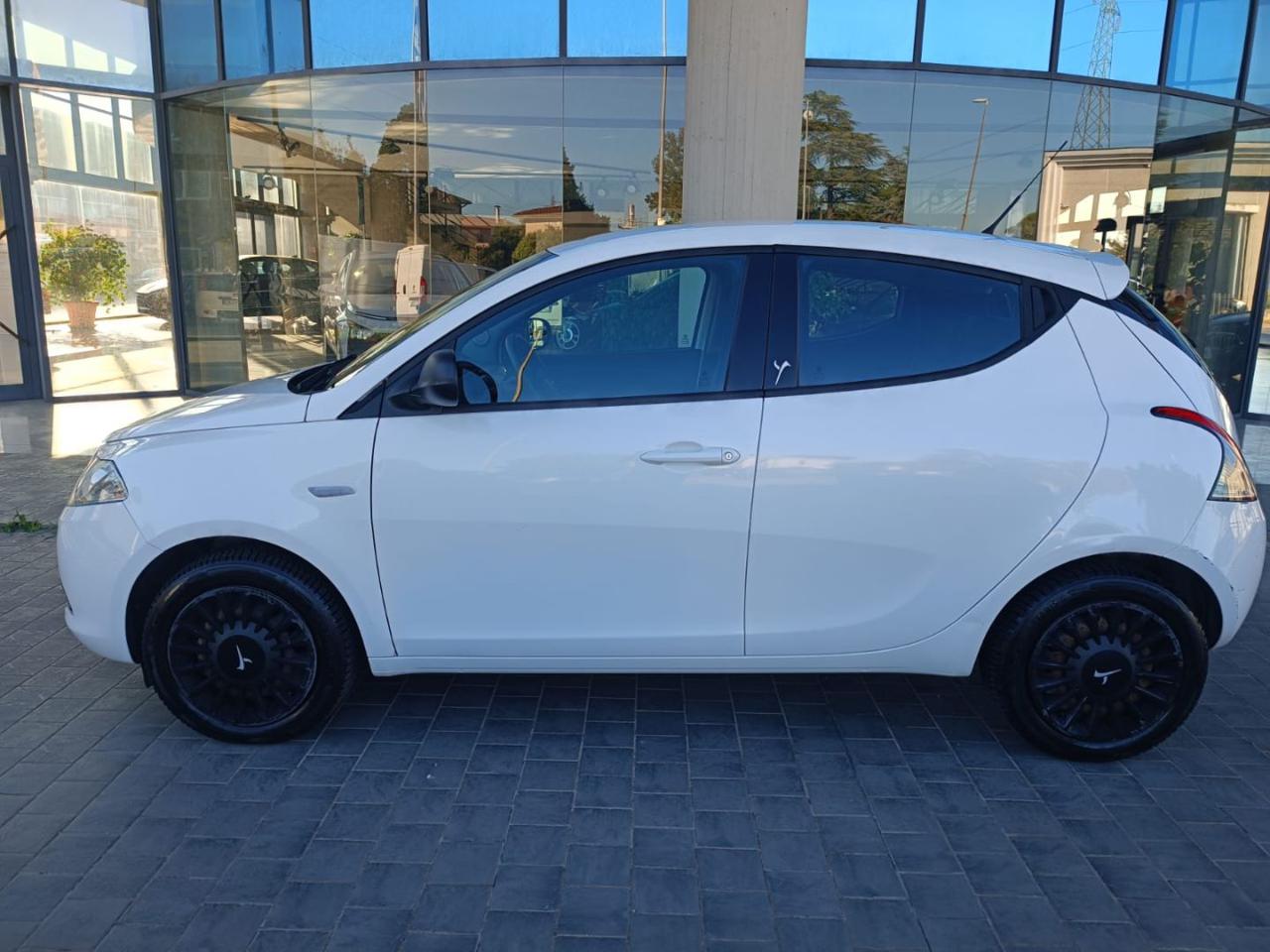 LANCIA Ypsilon 1.2 69 CV 5 porte Elefantino - 6