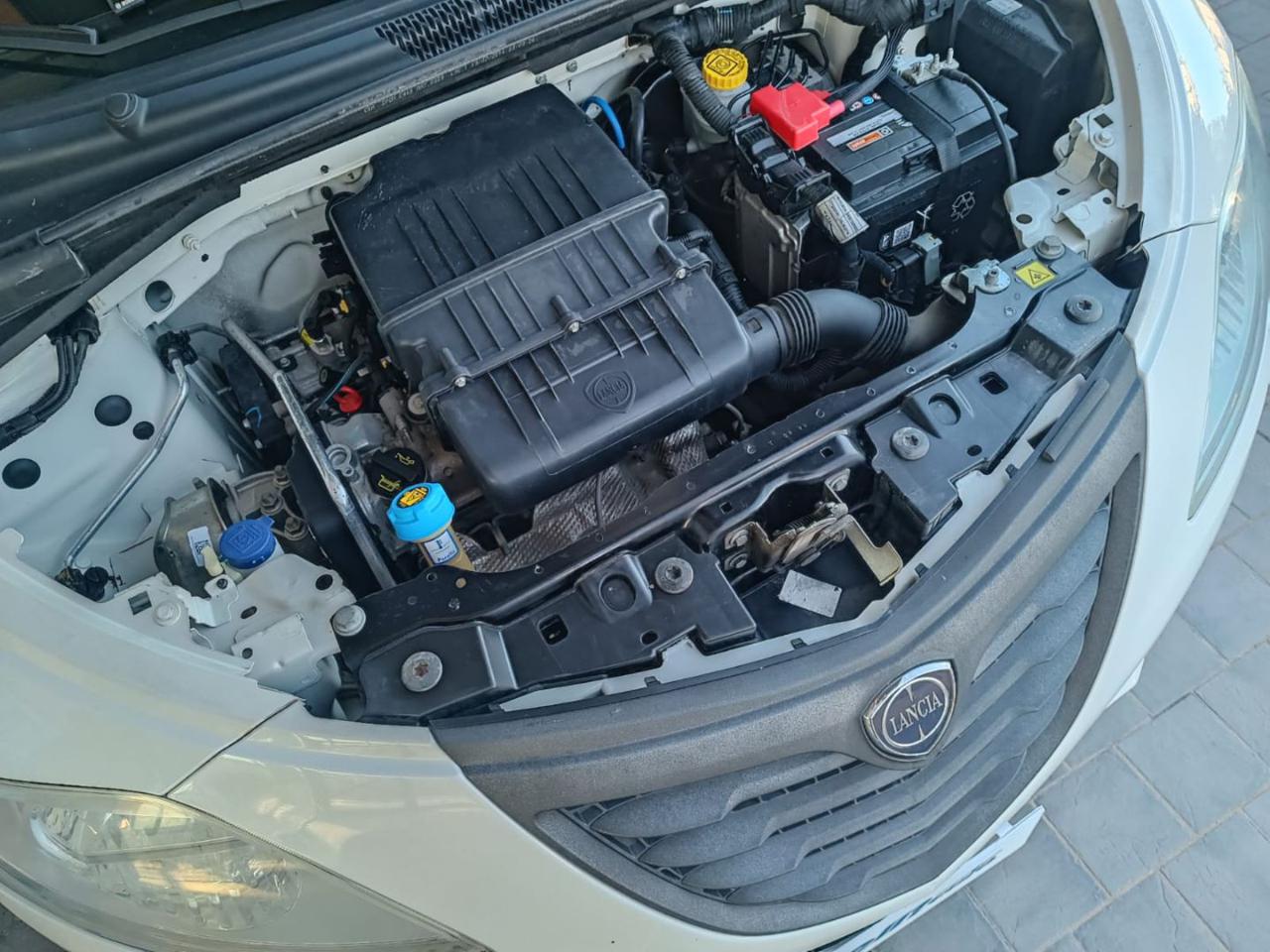 LANCIA Ypsilon 1.2 69 CV 5 porte Elefantino - 2