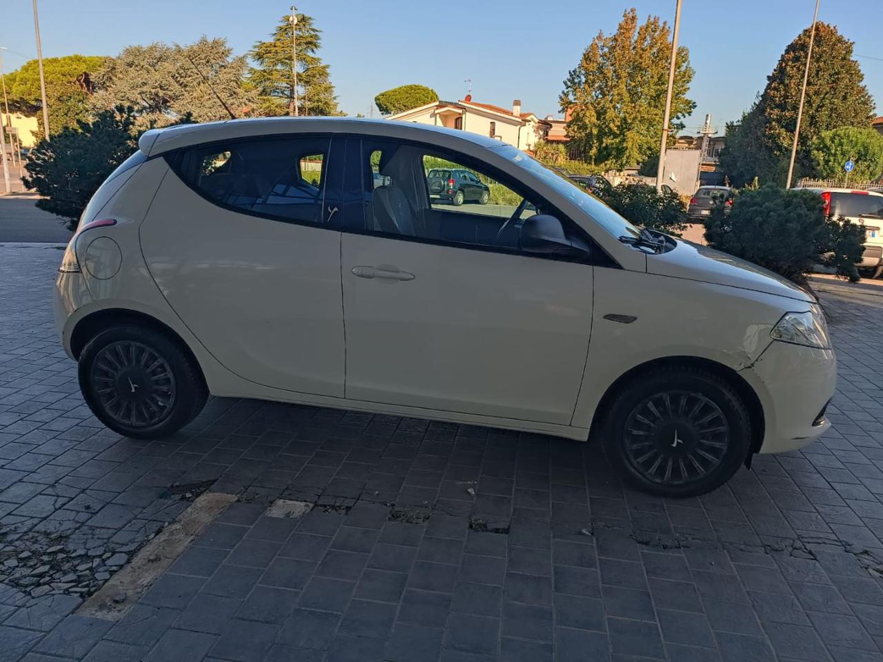 LANCIA Ypsilon 1.2 69 CV 5 porte Elefantino - 8