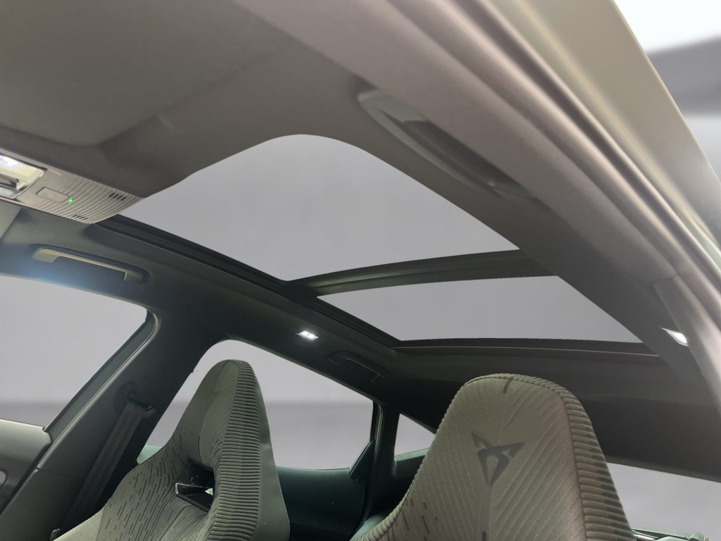 CUPRA Formentor 2.0 tdi tribe edition 150cv dsg - 31