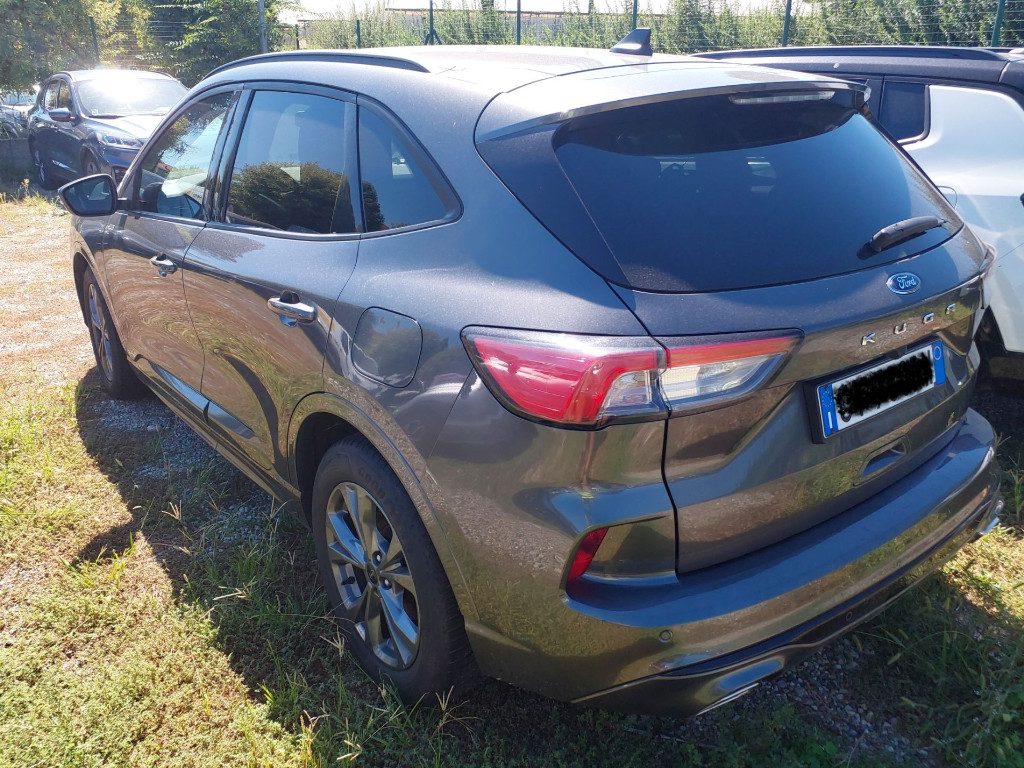 FORD Kuga 2.0 EcoBlue 120 CV aut. 2WD ST-Line IVA ESPOSTA - 2
