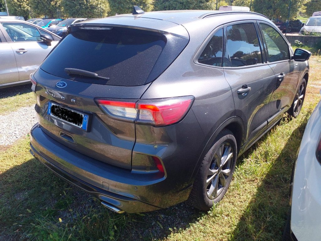 FORD Kuga 2.0 EcoBlue 120 CV aut. 2WD ST-Line IVA ESPOSTA - 3