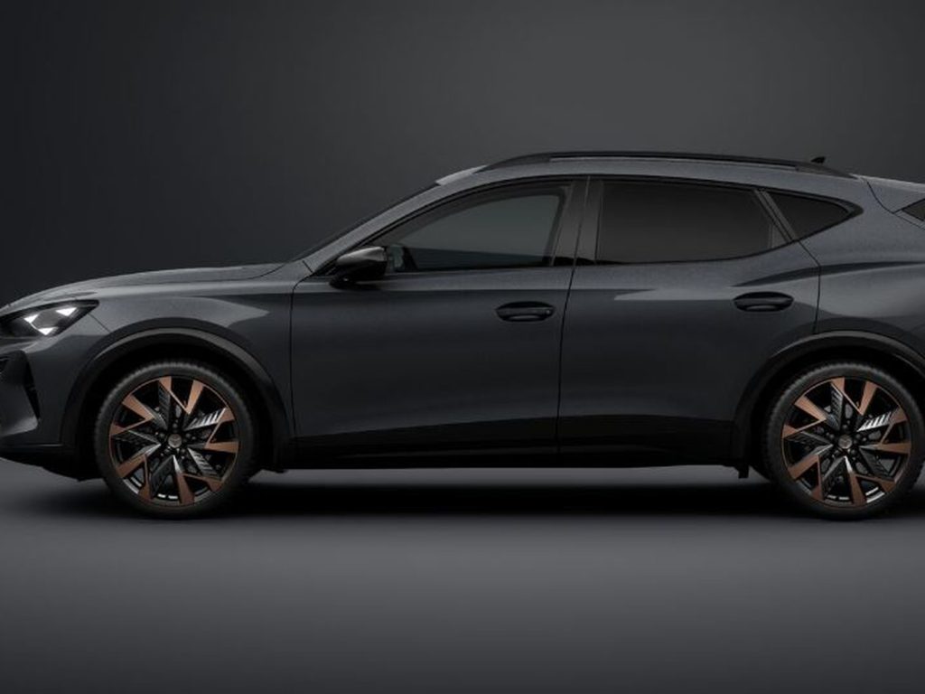 CUPRA Formentor 2.0 tdi business 150cv dsg - 2