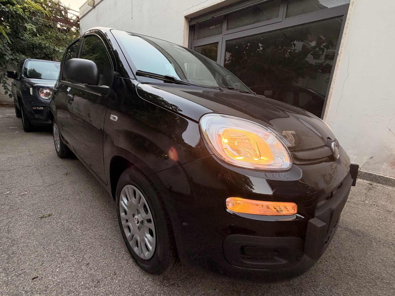 FIAT Pandina Hybrid Icon - 2