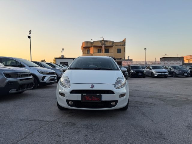 FIAT Punto Bianco perlato