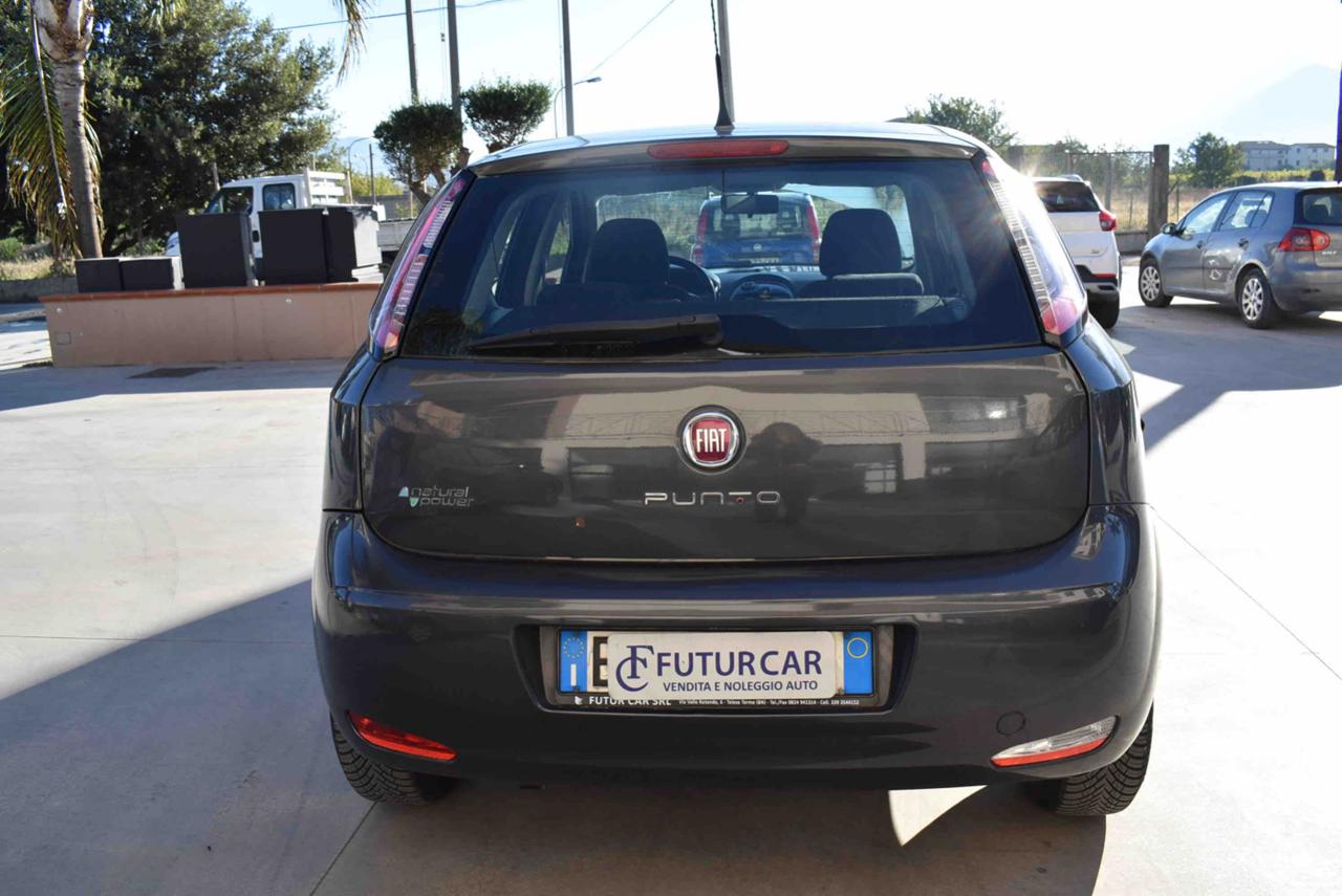 FIAT Punto 1.4 8V 5 porte Natural Power Lounge - 13