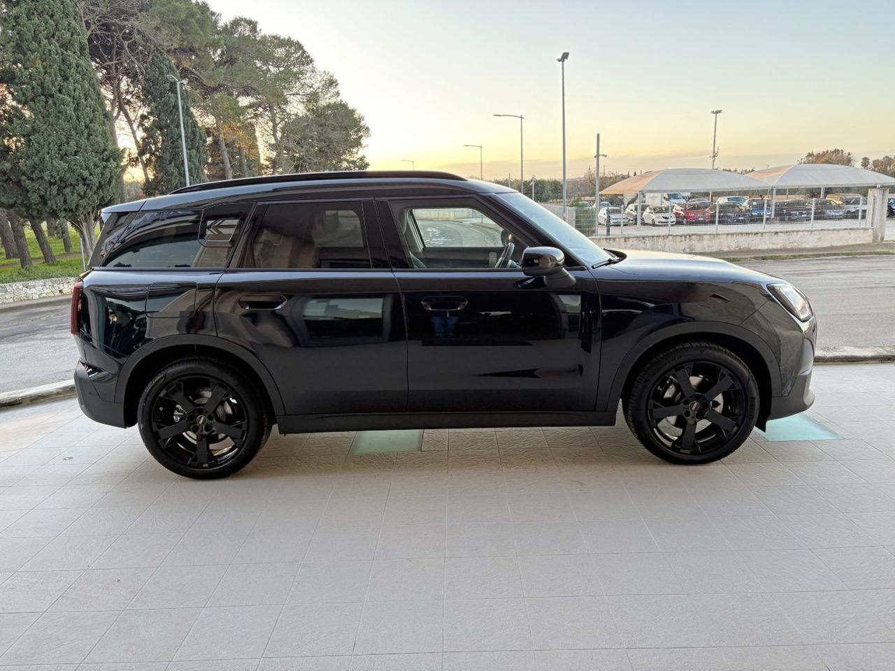 MINI Countryman D Classic Countryman CERCHI DA 19. - 4