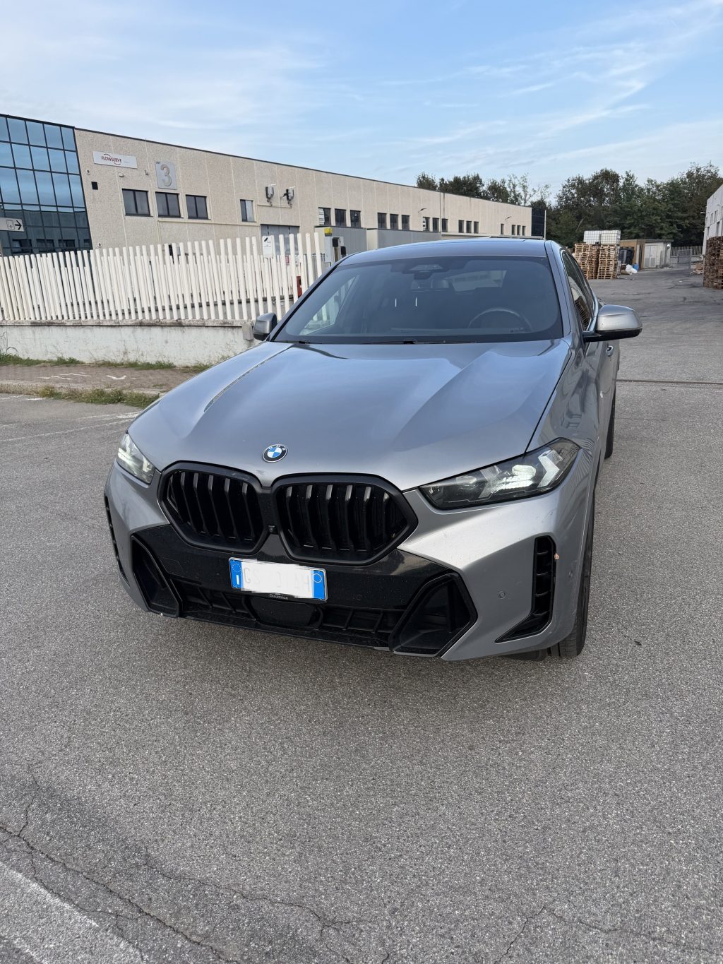 BMW X6 X6 xdrive30d MSport auto NETTO EXPORT - 2