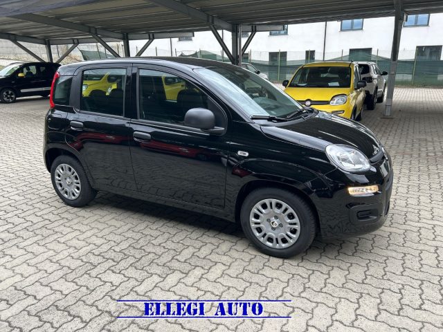 FIAT Panda Nero pastello