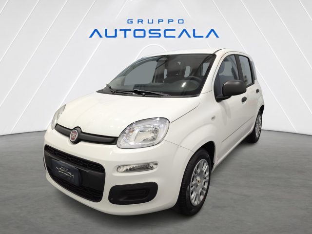 FIAT New Panda Pandina 1.0 FireFly 65 CV Hybrid Icon 