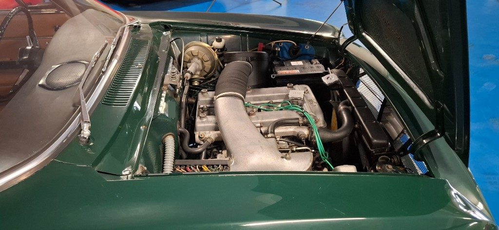 ALFA ROMEO GT SCALINO VERDE PINO con INTERNI CUOIO - 4