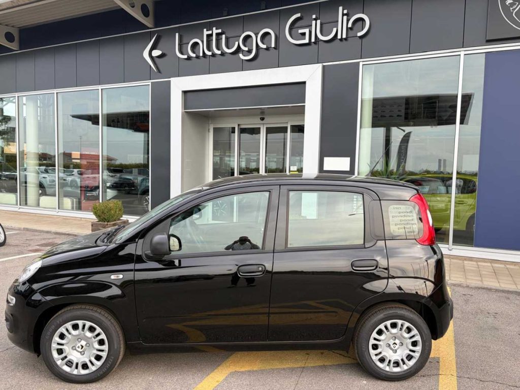 FIAT Pandina 1.0 FireFly 65 CV Hybrid Pop - 9