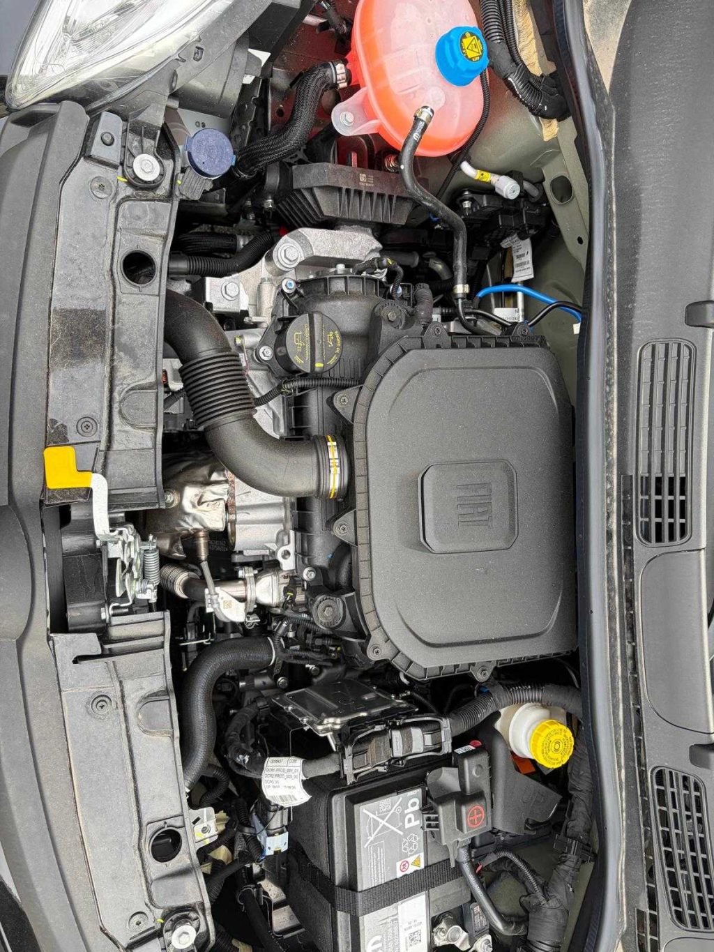 FIAT Pandina 1.0 FireFly 65 CV Hybrid Pop - 20