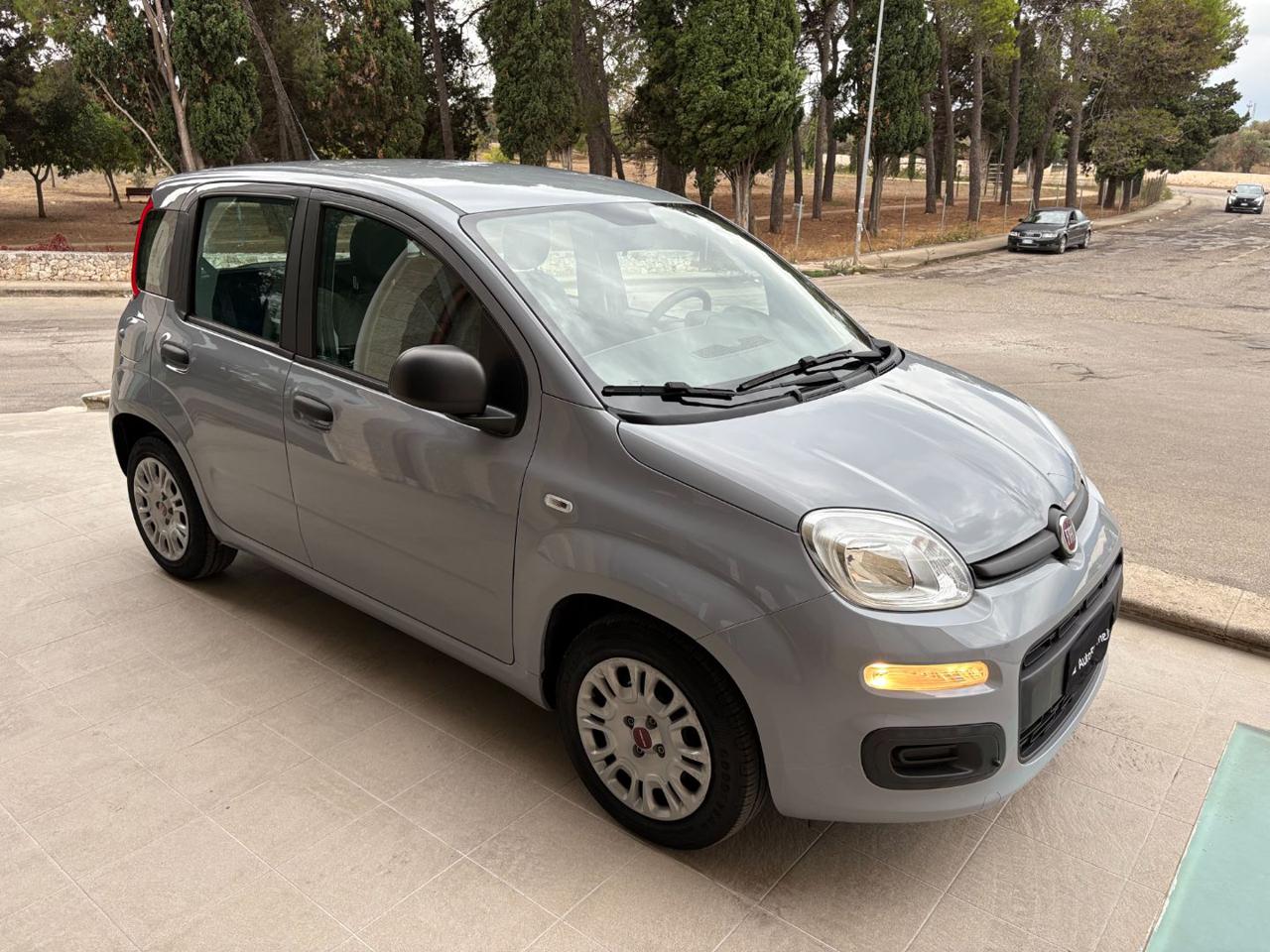 FIAT Panda 1.0 FireFly S&S Hybrid. - 3