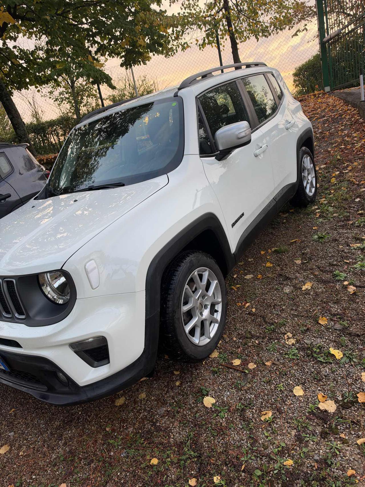 JEEP Renegade 1.6 Mjt 130 CV Limited - 2