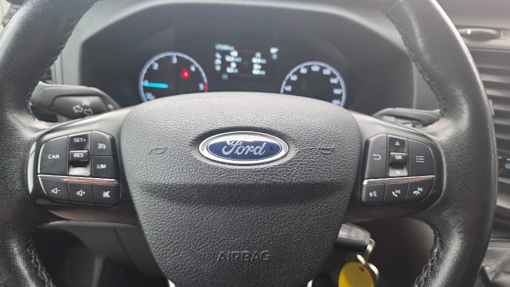 FORD Transit 350 2.0TDCi EcoBlue PM-TM Furgone Trend Mhev - 11