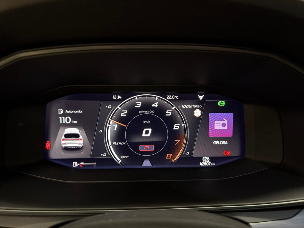 CUPRA Leon 2.0 tsi vz carbon 300cv dsg - 14