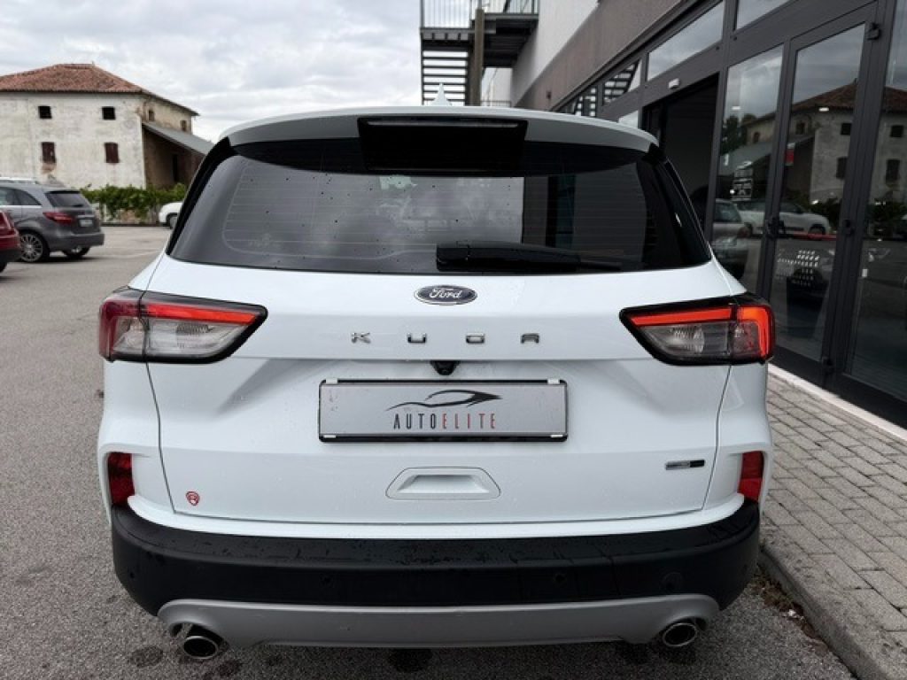 Clicca per ingrandire Kuga - 2.0 EcoBlue Hybrid 150 CV 2WD Titanium Business