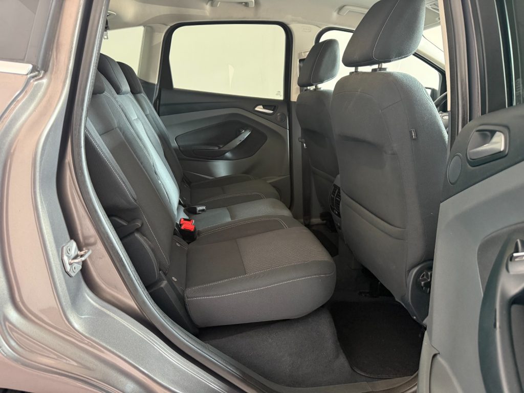 FORD C-Max 2.0 TDCi 115CV Powershift Titanium - 14