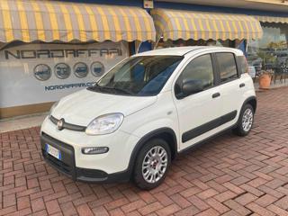 Autocarro Transporter - FIAT Panda - 1.0 S&S Hybrid Van 4 posti N1