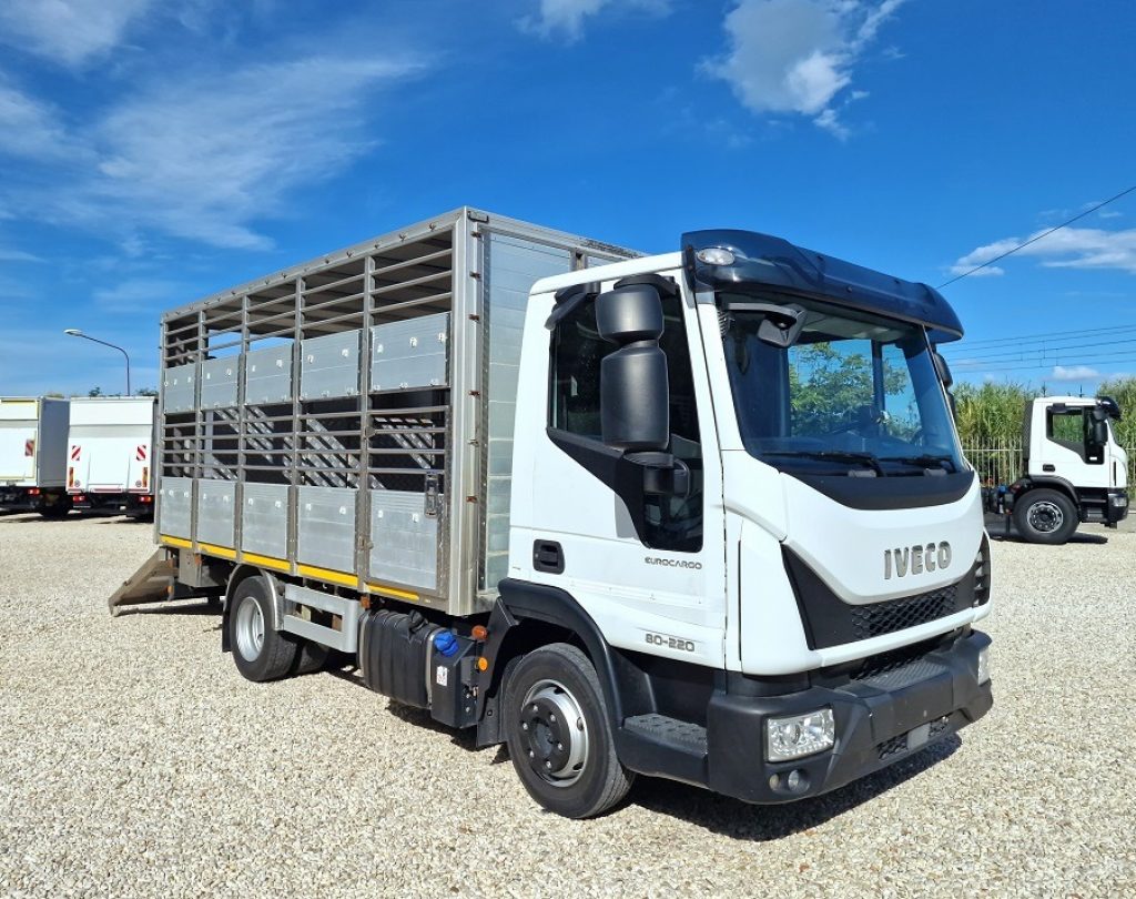 IVECO EUROCARGO 80E22 P E6 CASSA BESTIAME - 1