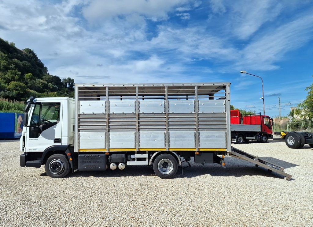 IVECO EUROCARGO 80E22 P E6 CASSA BESTIAME - 22