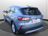 Ford Kuga 1.5 Ecoblue 120 Cv Aut. 2wd Titanium Business usata — foto 17 (17/35)