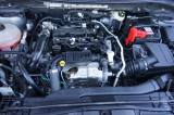 Ford Kuga 1.5 Ecoblue 120 Cv Aut. 2wd Titanium Business usata — foto 19 (19/35)