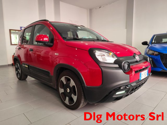 FIAT Panda Cross usata in vendita da DLG Motors