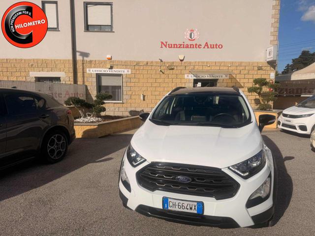 FORD EcoSport Bianco pastello