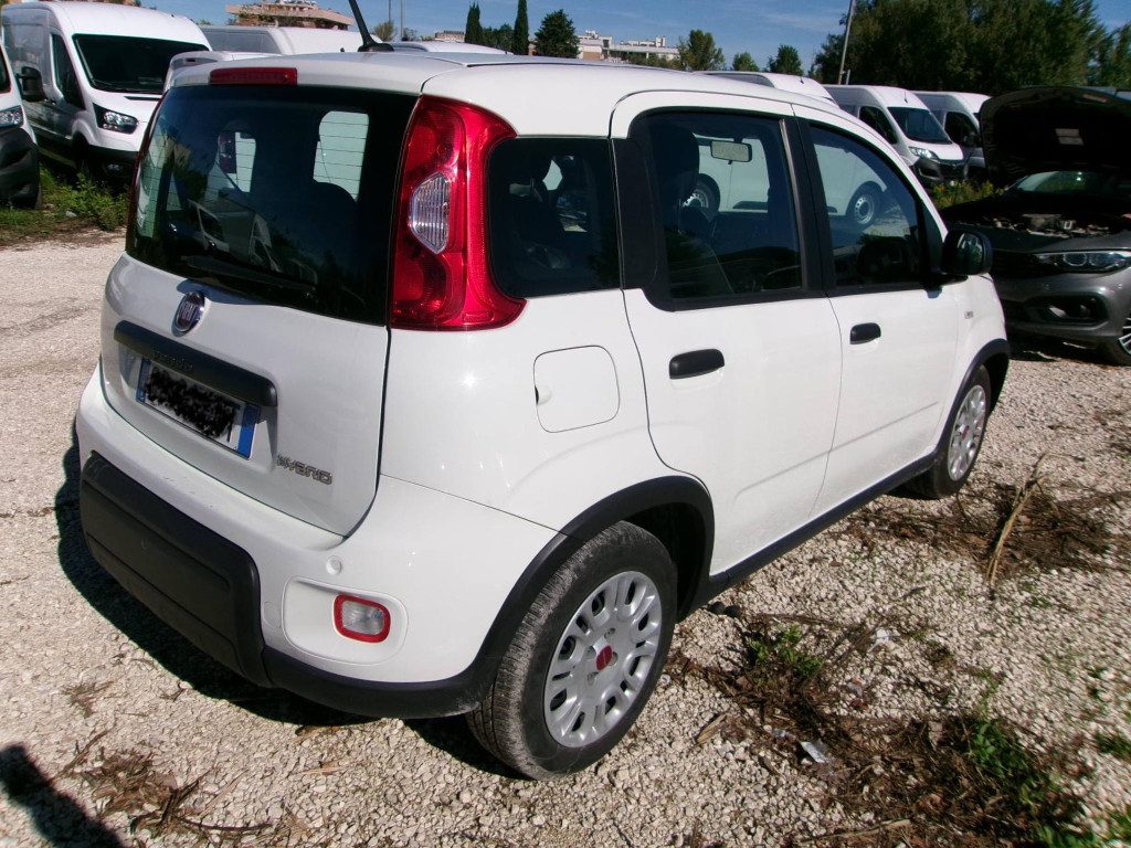 FIAT Panda 1.0 FireFly S&S Hybrid IDONEA NEOPATENTATI - 2