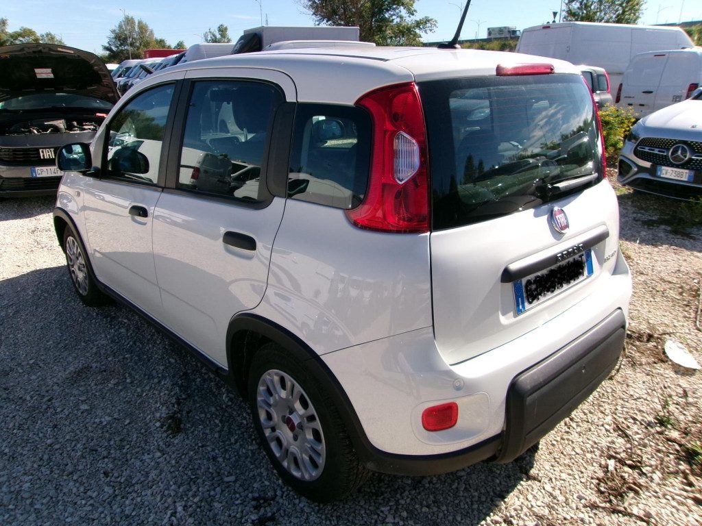FIAT Panda 1.0 FireFly S&S Hybrid IDONEA NEOPATENTATI - 3