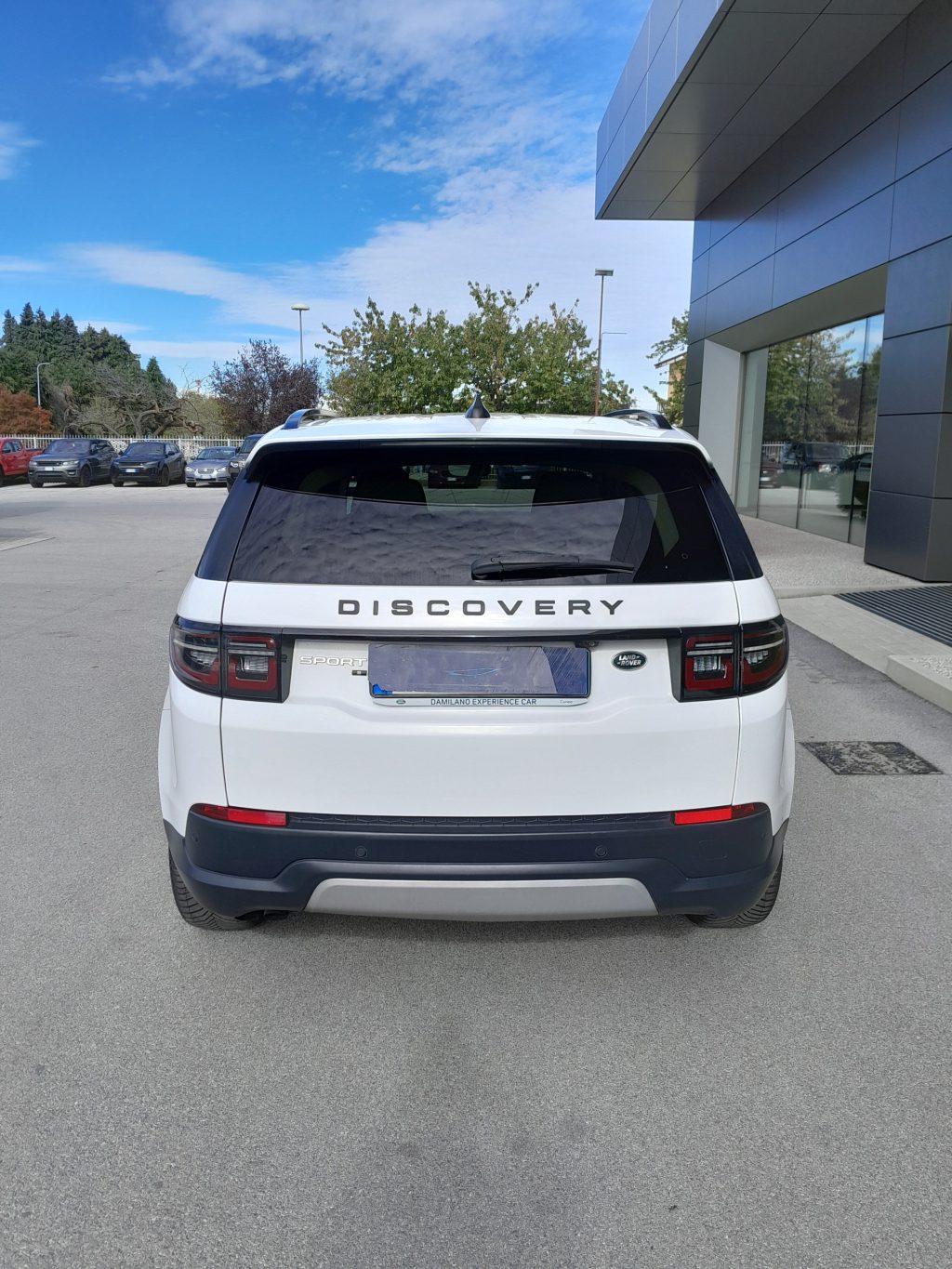 LAND ROVER Discovery Sport Discovery Sport 2.0d td4 mhev S awd 163cv auto IVA - 7
