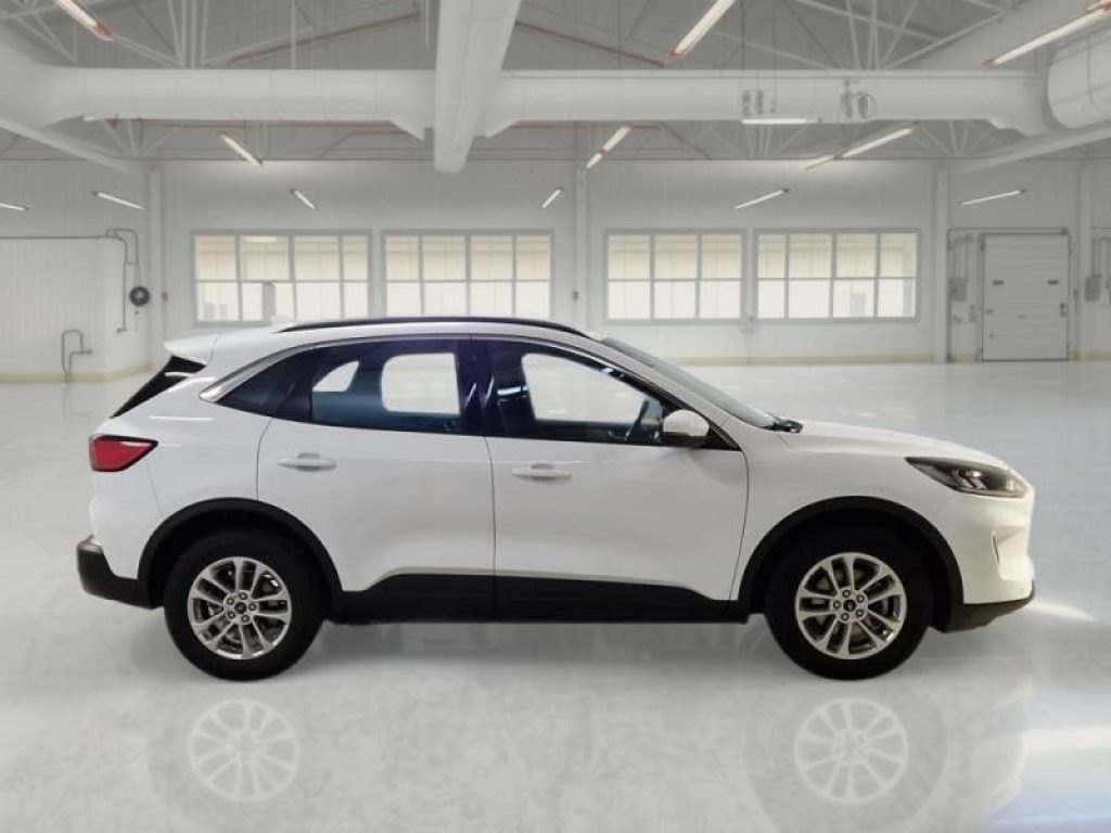 FORD Kuga 1.5 EcoBlue 120 CV aut. 2WD Titanium Business - 4
