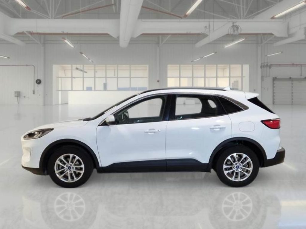 FORD Kuga 1.5 EcoBlue 120 CV aut. 2WD Titanium Business - 5