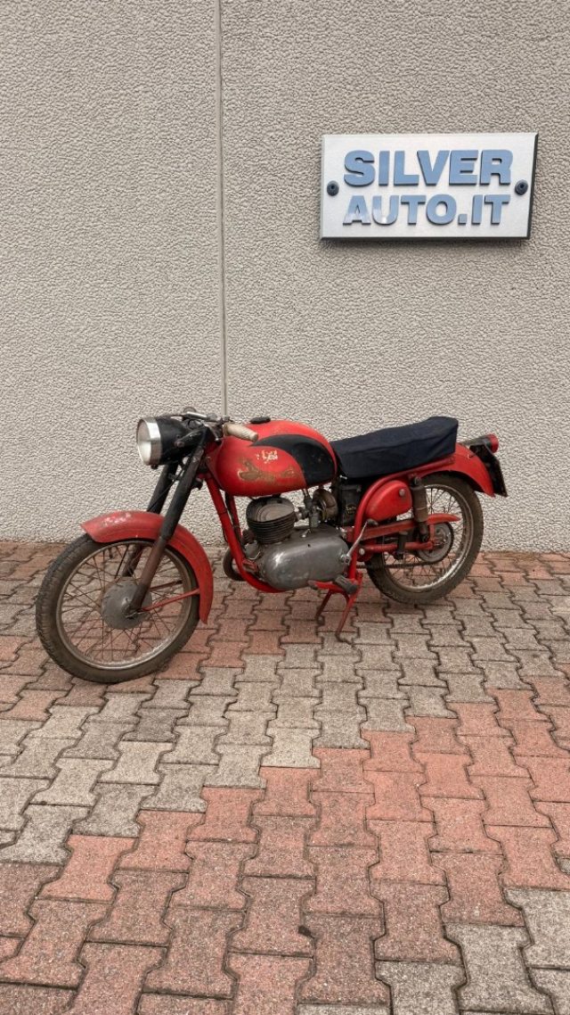 BIANCHI Falco Rosso pastello