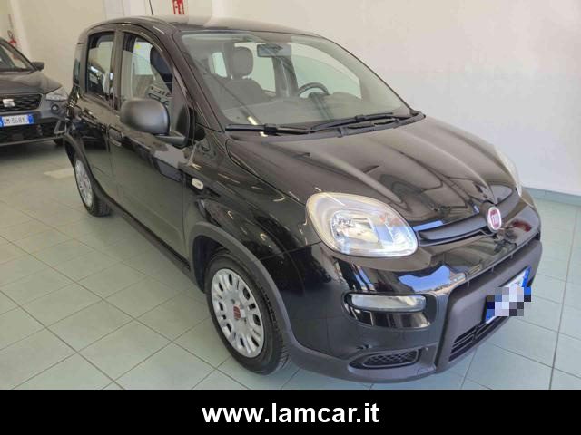 FIAT Panda Nero pastello
